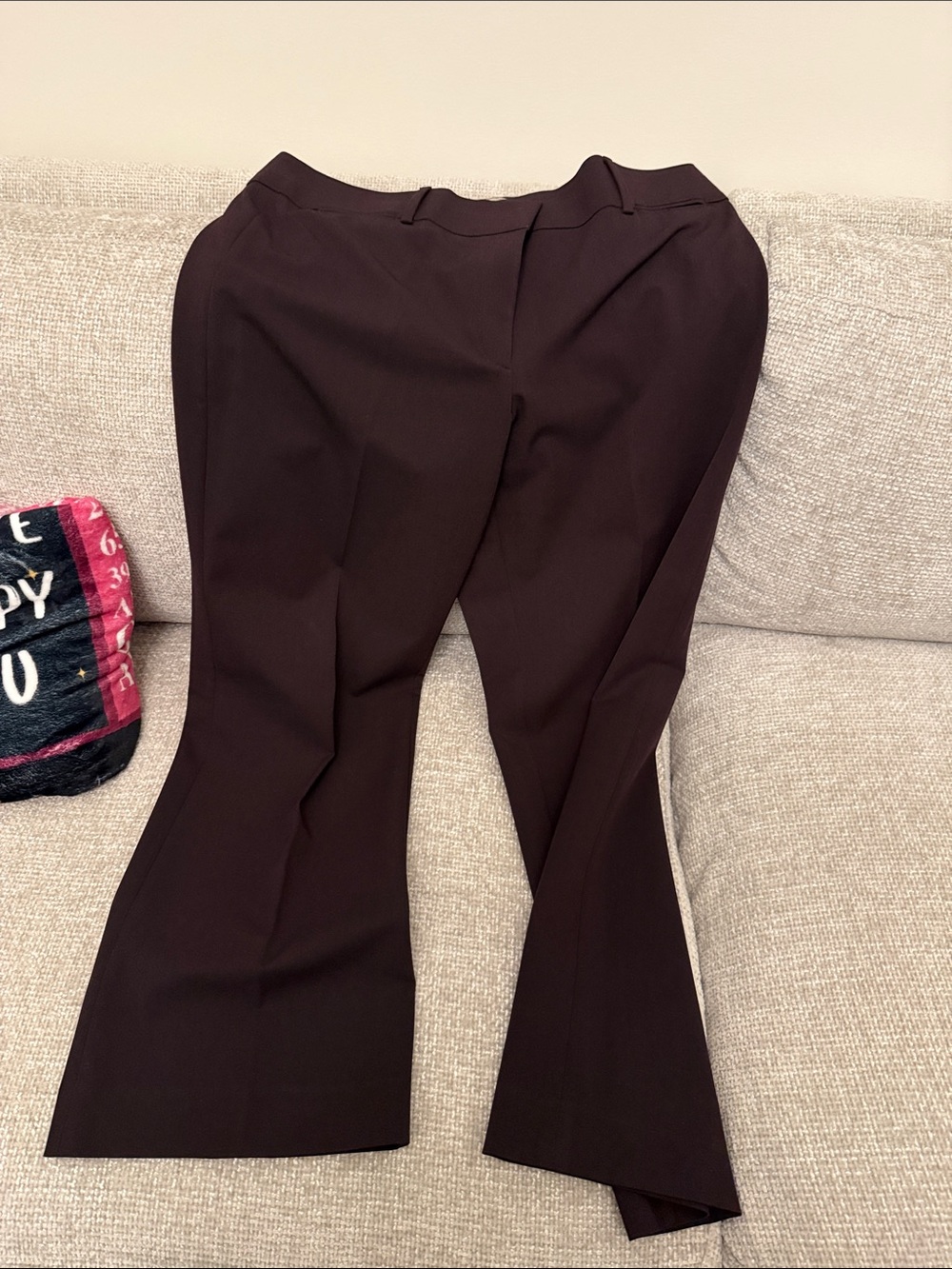 LOFT Brown Boot-Cut Dress Pants